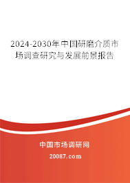 2024-2030年中国研磨介质市场调查研究与发展前景报告