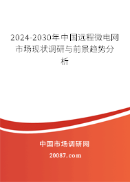 2024-2030年中国远程微电网市场现状调研与前景趋势分析