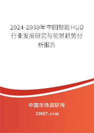 2024-2030年中国智能HUD行业发展研究与前景趋势分析报告