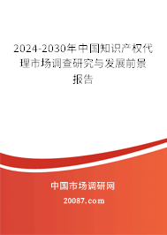 2024-2030年中国知识产权代理市场调查研究与发展前景报告