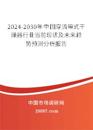 2024-2030年中国穿流带式干燥器行业当前现状及未来趋势预测分析报告