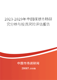 2023-2029年中国煤球市场研究分析与投资风险评估报告