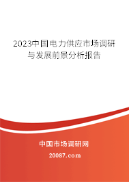 2023中国电力供应市场调研与发展前景分析报告