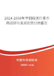 2024-2030年中国胺类行业市场调研与发展前景分析报告