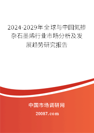 2024-2029年全球与中国氮掺杂石墨烯行业市场分析及发展趋势研究报告