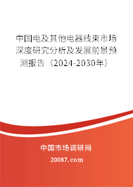 中国电及其他电器线束市场深度研究分析及发展前景预测报告（2024-2030年）