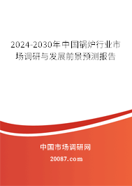 2024-2030年中国锅炉行业市场调研与发展前景预测报告