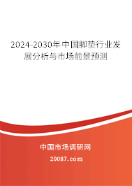 2024-2030年中国脚垫行业发展分析与市场前景预测