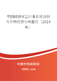 中国精细化工行业现状调研与市场前景分析报告（2024年）