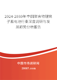 2024-2030年中国聚合物锂离子蓄电池行业深度调研与发展趋势分析报告