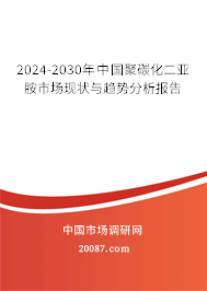 2024-2030年中国聚碳化二亚胺市场现状与趋势分析报告