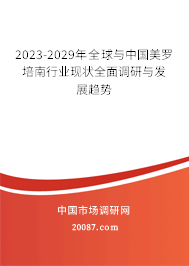 2023-2029年全球与中国美罗培南行业现状全面调研与发展趋势