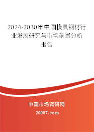 2024-2030年中国模具钢材行业发展研究与市场前景分析报告