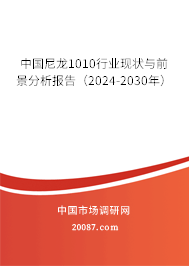 中国尼龙1010行业现状与前景分析报告（2024-2030年）