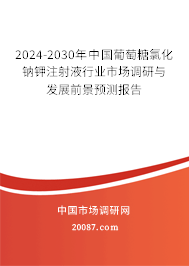 2024-2030年中国葡萄糖氯化钠钾注射液行业市场调研与发展前景预测报告