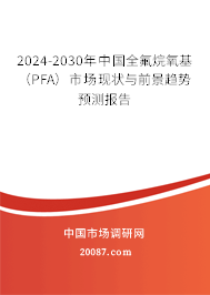 2024-2030年中国全氟烷氧基（PFA）市场现状与前景趋势预测报告