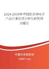 2024-2030年中国石墨烯电子产品行业现状分析与趋势预测报告