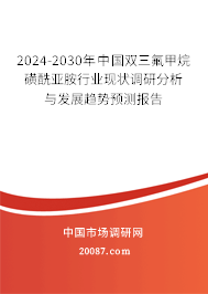 2024-2030年中国双三氟甲烷磺酰亚胺行业现状调研分析与发展趋势预测报告