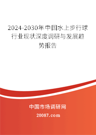 2024-2030年中国水上步行球行业现状深度调研与发展趋势报告