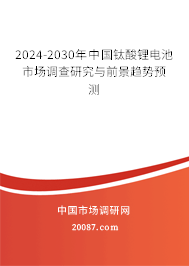 2024-2030年中国钛酸锂电池市场调查研究与前景趋势预测