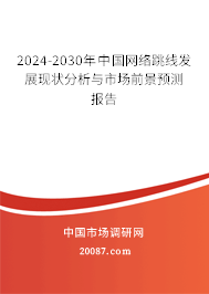 2024-2030年中国网络跳线发展现状分析与市场前景预测报告