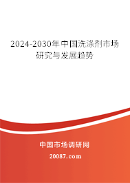 2024-2030年中国洗涤剂市场研究与发展趋势