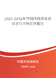 2025-2031年中国洗精煤发展现状与市场前景报告 2025-2031年中国洗精煤发展现状与市场前景报告