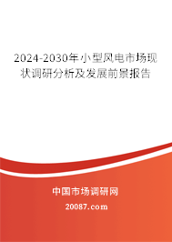 2024-2030年小型风电市场现状调研分析及发展前景报告