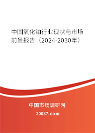 中国氧化铂行业现状与市场前景报告（2024-2030年）