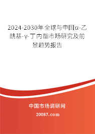 2024-2030年全球与中国α-乙酰基-γ-丁内酯市场研究及前景趋势报告