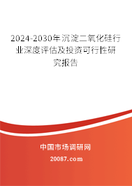 2024-2030年沉淀二氧化硅行业深度评估及投资可行性研究报告