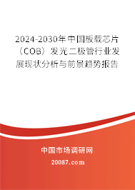 2024-2030年中国板载芯片（COB）发光二极管行业发展现状分析与前景趋势报告