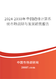 2024-2030年中国边缘计算系统市场调研与发展趋势报告