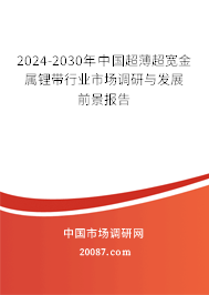 2024-2030年中国超薄超宽金属锂带行业市场调研与发展前景报告