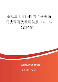 全球与中国磁性液位计市场现状调研及发展前景（2024-2030年）