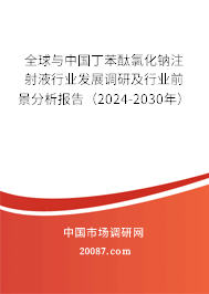 全球与中国丁苯酞氯化钠注射液行业发展调研及行业前景分析报告（2024-2030年）