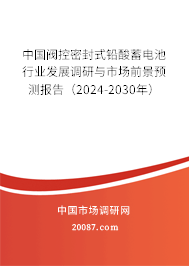 中国阀控密封式铅酸蓄电池行业发展调研与市场前景预测报告（2024-2030年）