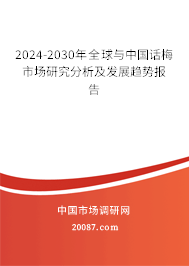 2024-2030年全球与中国话梅市场研究分析及发展趋势报告