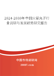 2024-2030年中国火锅丸子行业调研与发展趋势研究报告