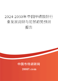 2024-2030年中国甲磺酸酐行业发展调研与前景趋势预测报告