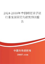 2024-2030年中国精密滚子链行业发展研究与趋势预测报告