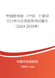 中国聚苯醚（PPO）行业研究分析与前景趋势预测报告（2024-2030年）