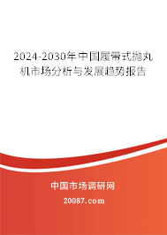 2024-2030年中国履带式抛丸机市场分析与发展趋势报告