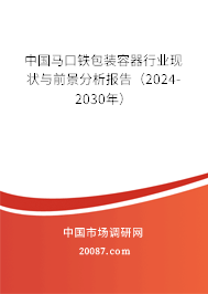 中国马口铁包装容器行业现状与前景分析报告（2024-2030年）