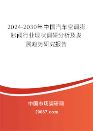 2024-2030年中国汽车空调膨胀阀行业现状调研分析及发展趋势研究报告