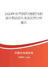 2024年版中国其他固定电阻器市场调研与发展前景分析报告