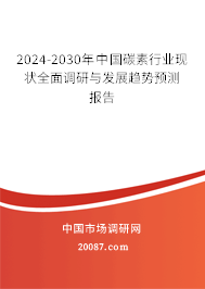 2024-2030年中国碳素行业现状全面调研与发展趋势预测报告