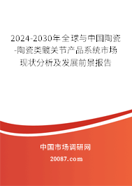 2024-2030年全球与中国陶瓷-陶瓷类髋关节产品系统市场现状分析及发展前景报告