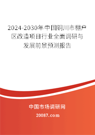 2024-2030年中国铜川市棚户区改造项目行业全面调研与发展前景预测报告