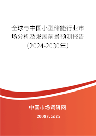 全球与中国小型储能行业市场分析及发展前景预测报告（2024-2030年）